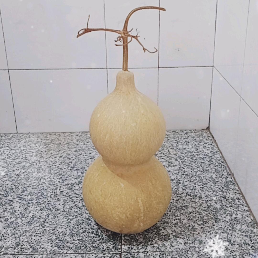 他们都叫我海海哥