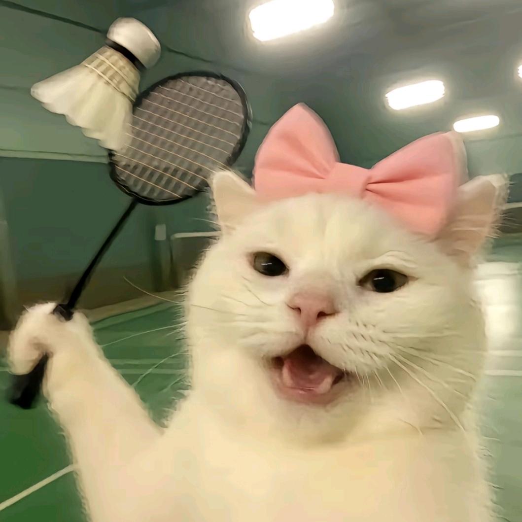 .發財發財.