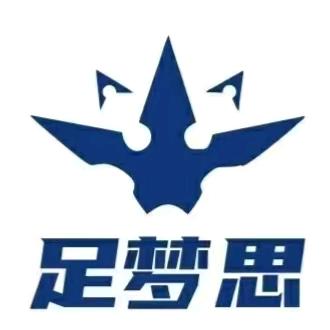 足梦思科技运动鞋（遮放刘姐）