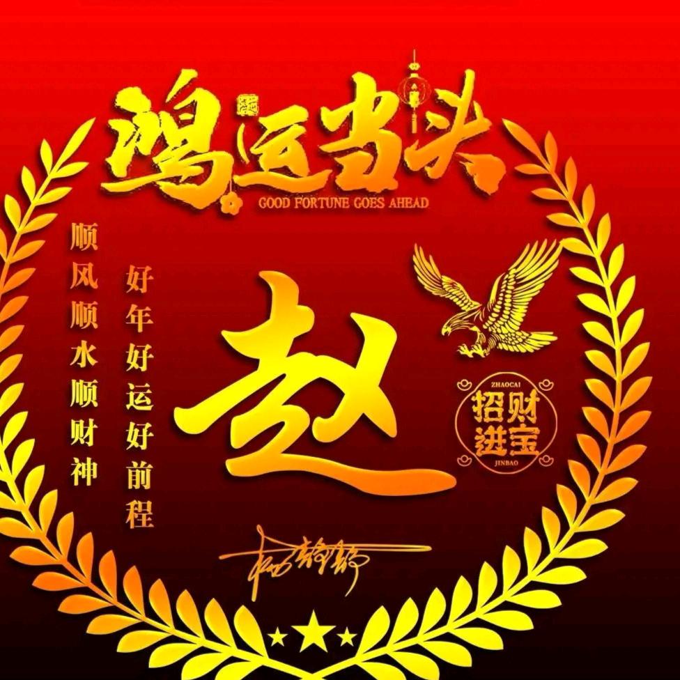 养鸽小白🕊🕊🕊