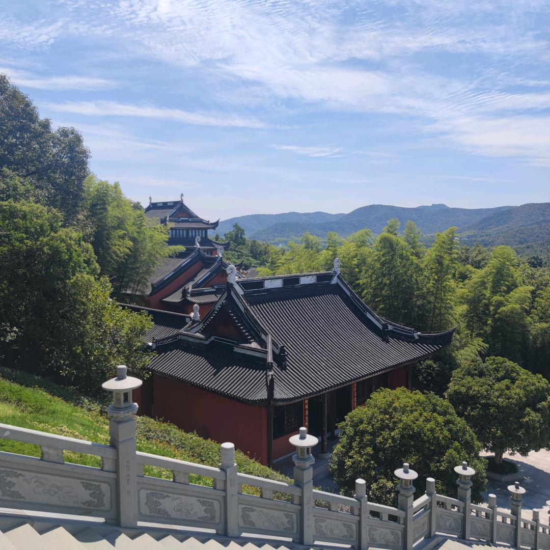 龙先生