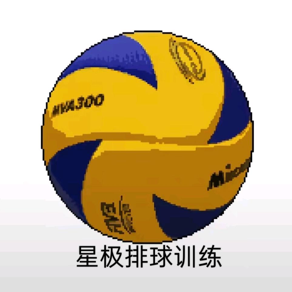 星极体育排球训练营🏐
