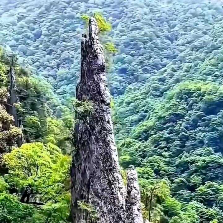 👣埋头赶路，抬头便是顶峰⛰️