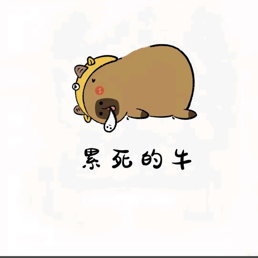 @TL(づ ●─● )づ