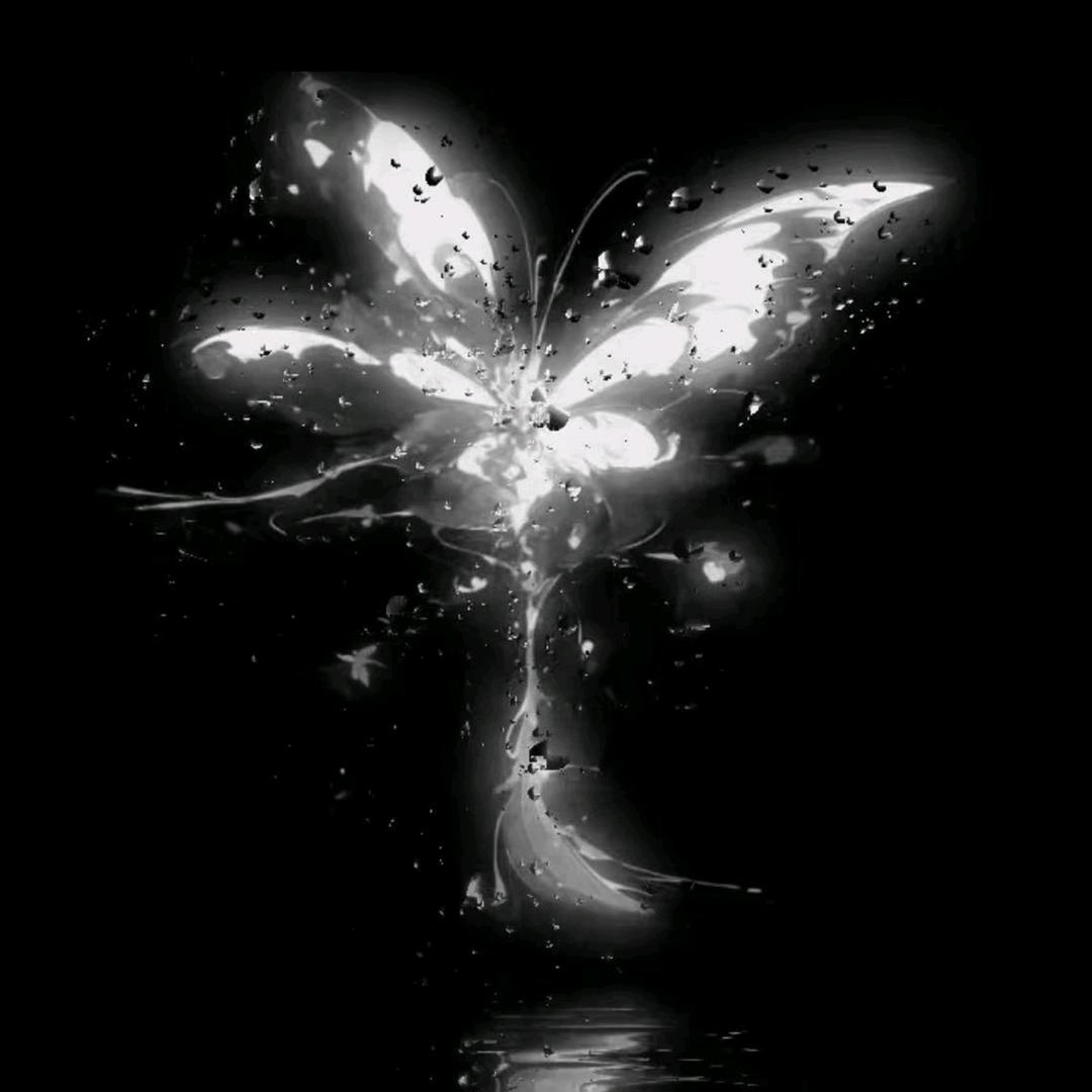 叙1.0👑新厅待冠