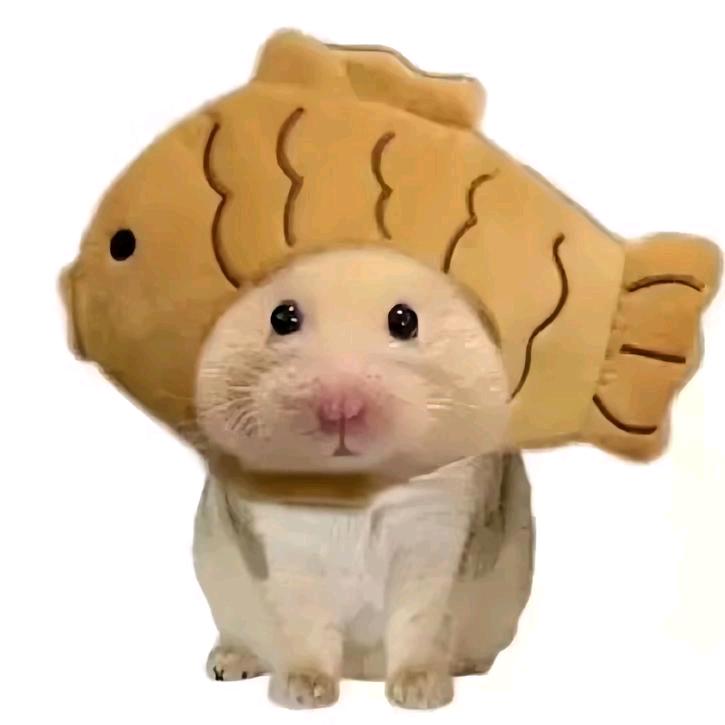 𝗡𝘂𝘆𝗼𝗮𝗵