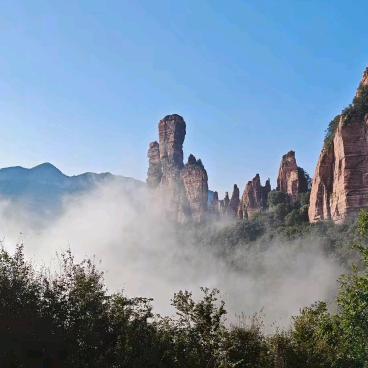 大🐲道🐷至🦚简