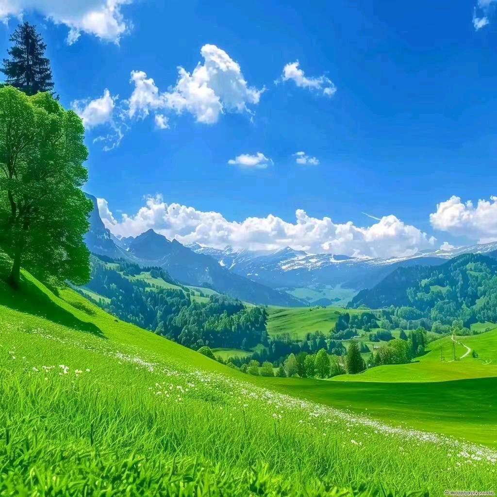 蓝匀穿搭
