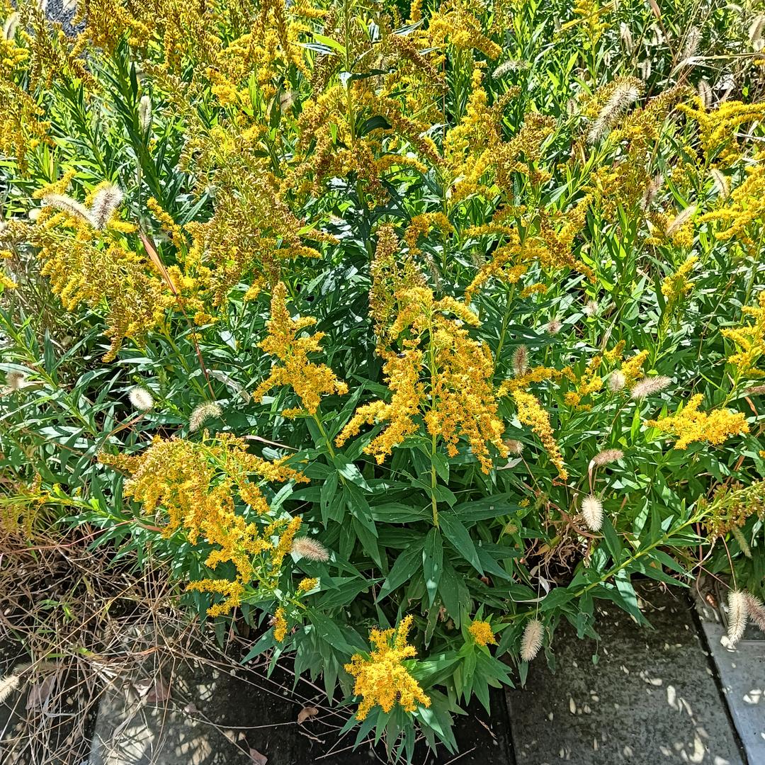 以和。。。为贵