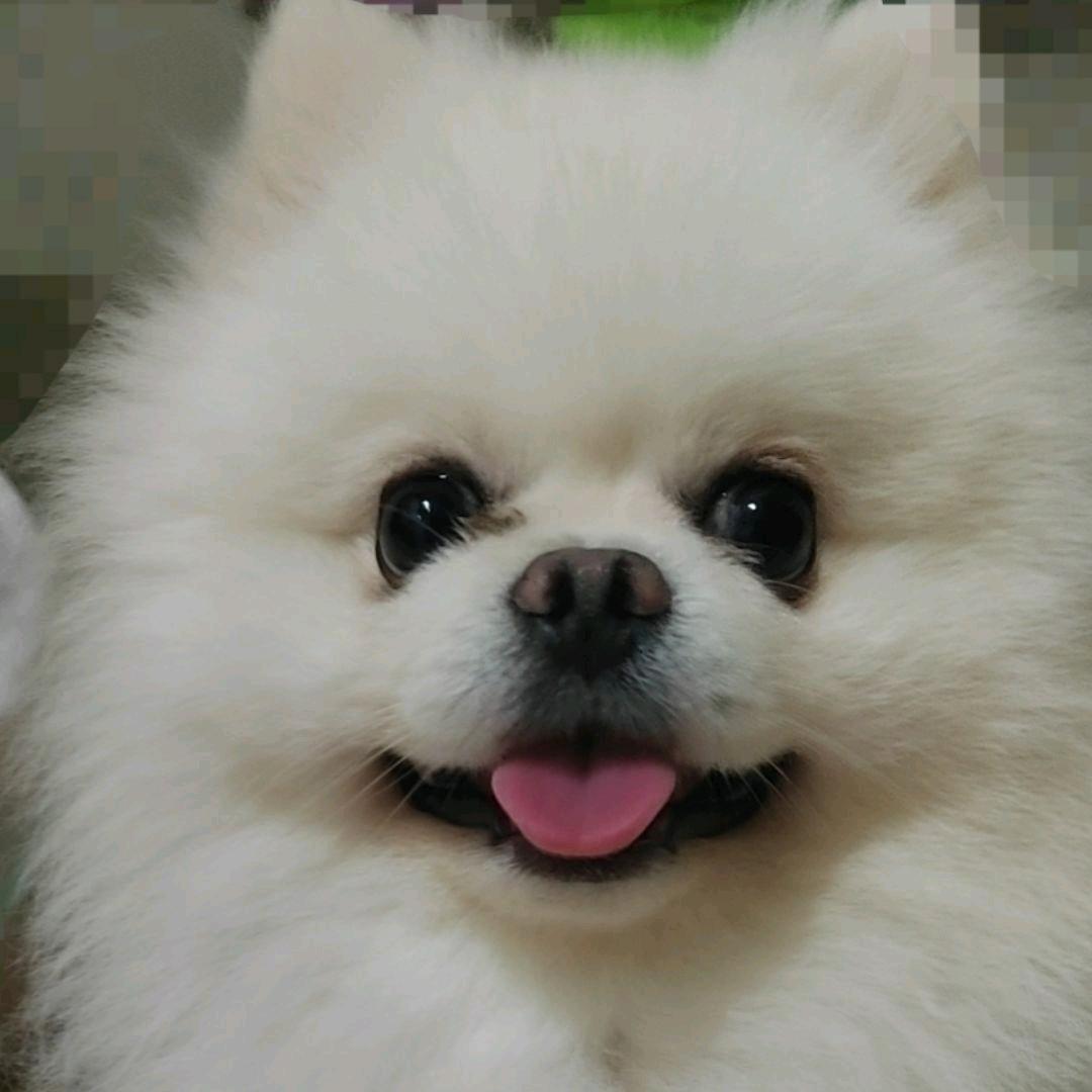 暖心姐姐🧚‍♂️