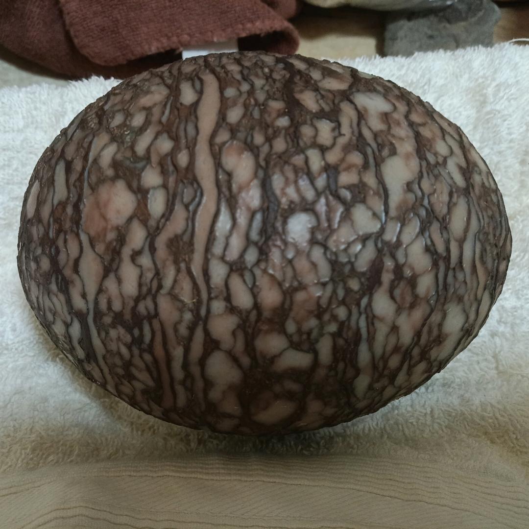 爱唱歌🎤  的旦增