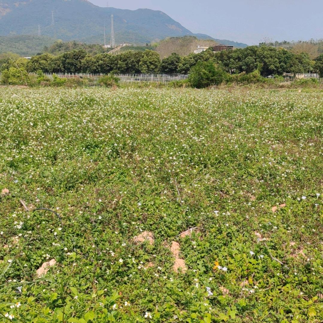 永兴时装（塘新街）