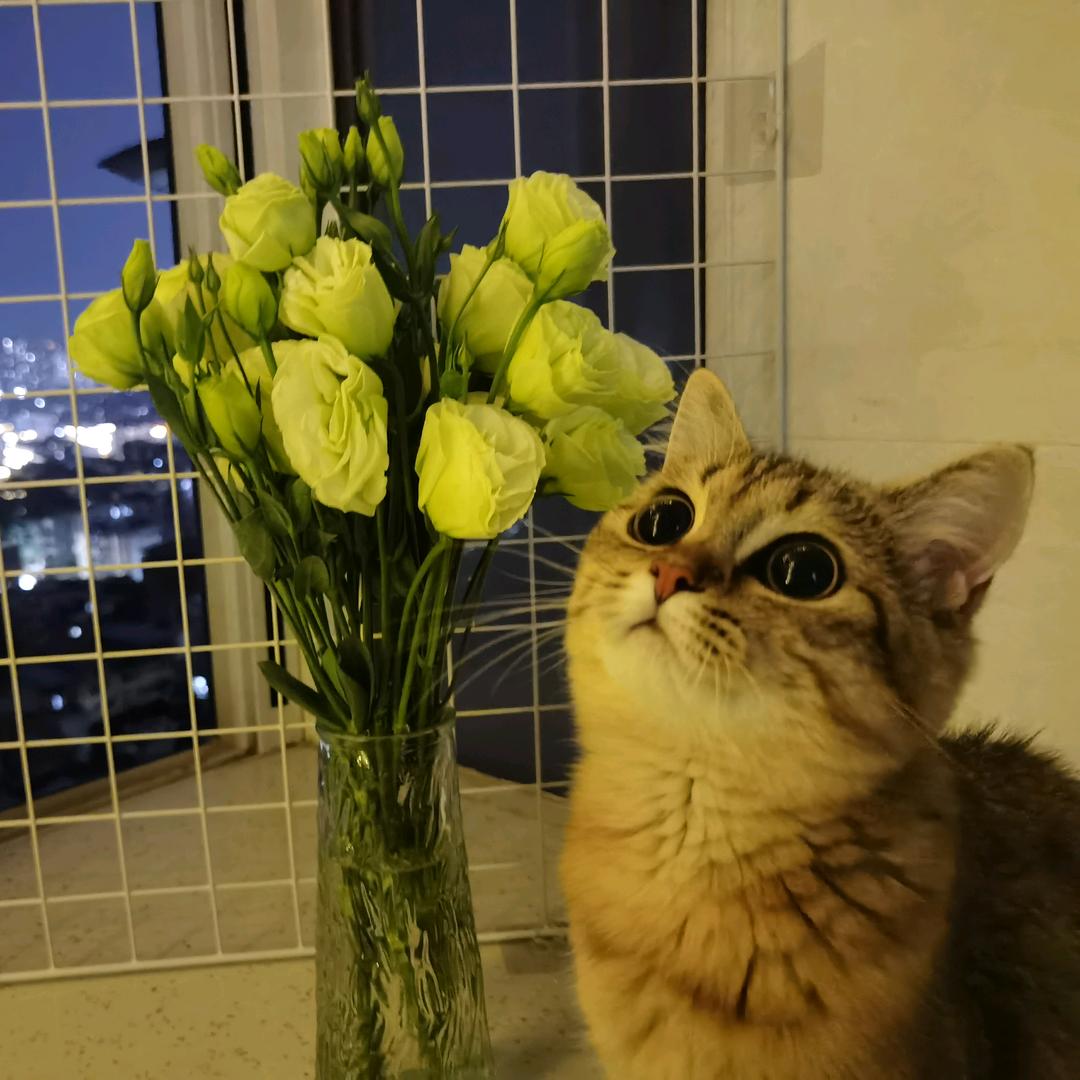 @孤痞