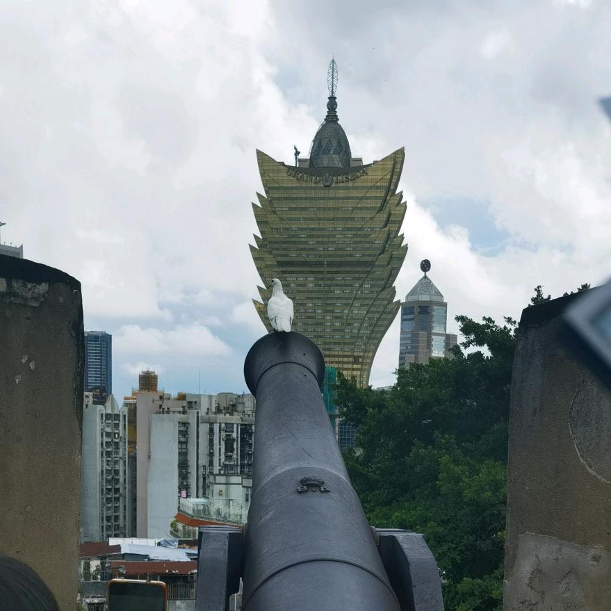 自律的飞哥（山东🇲🇴）