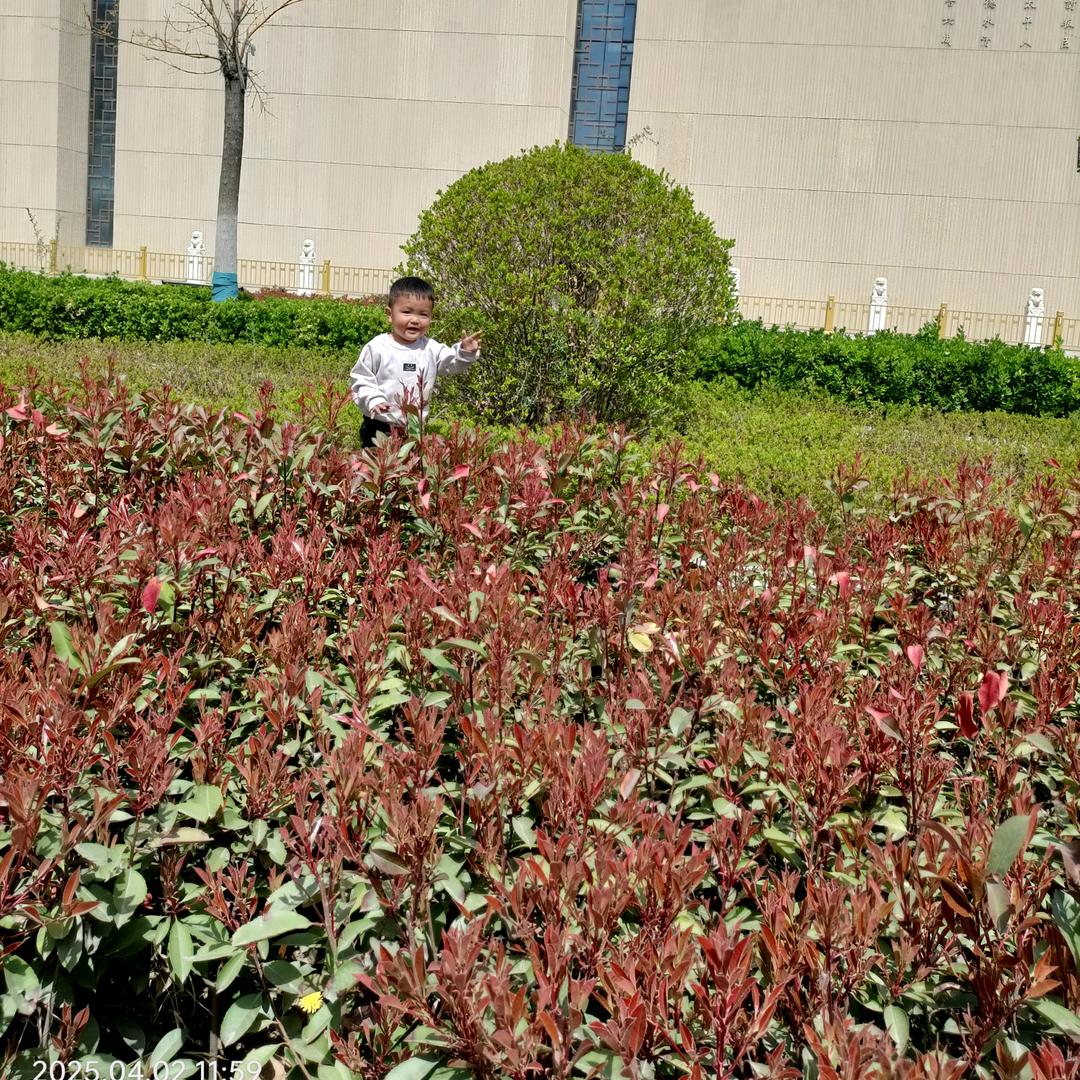 hanghang2829