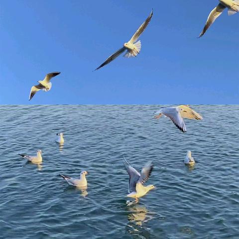 海纳.百川
