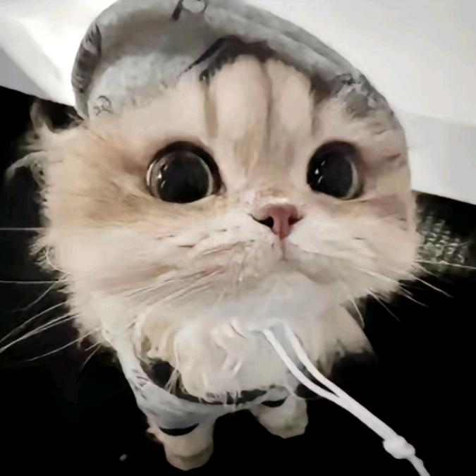 小恬^