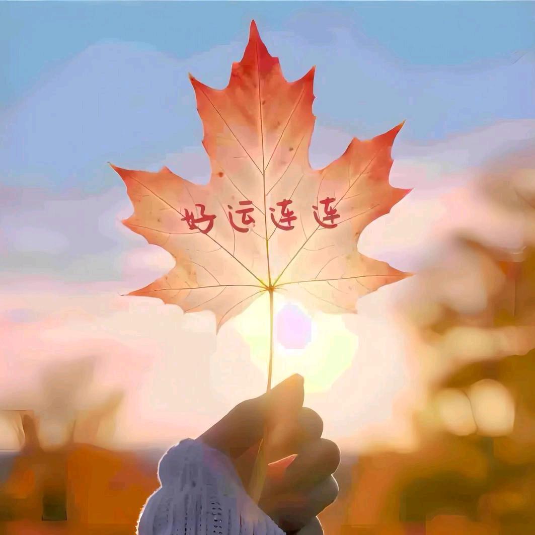 伊丽莎白
