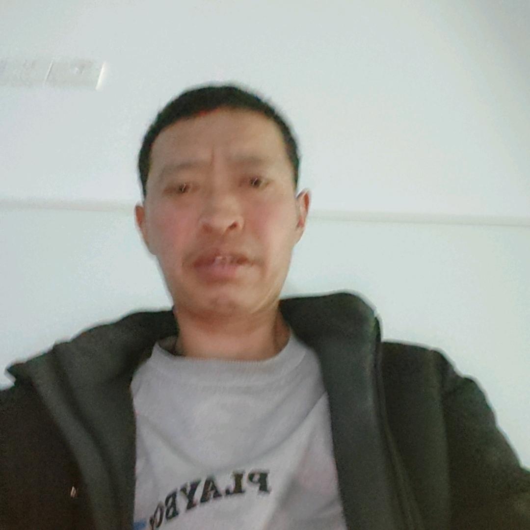 张鸿