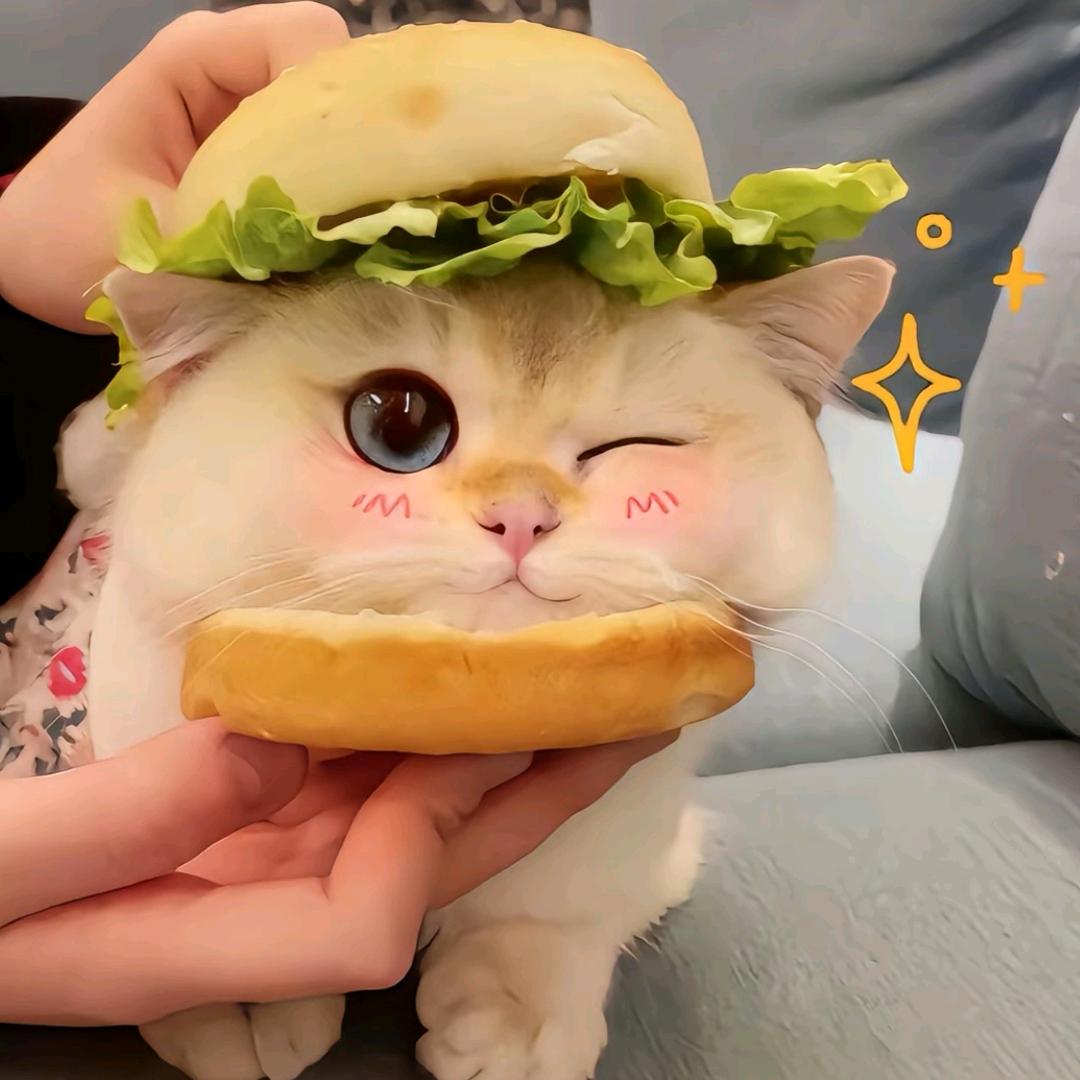 俺村我最美