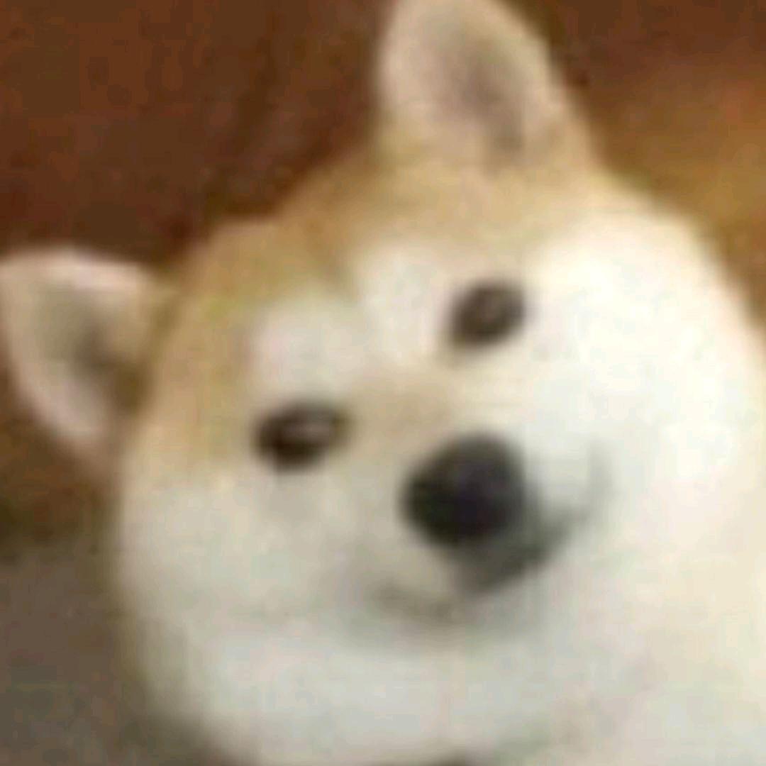 小狗怎么叫