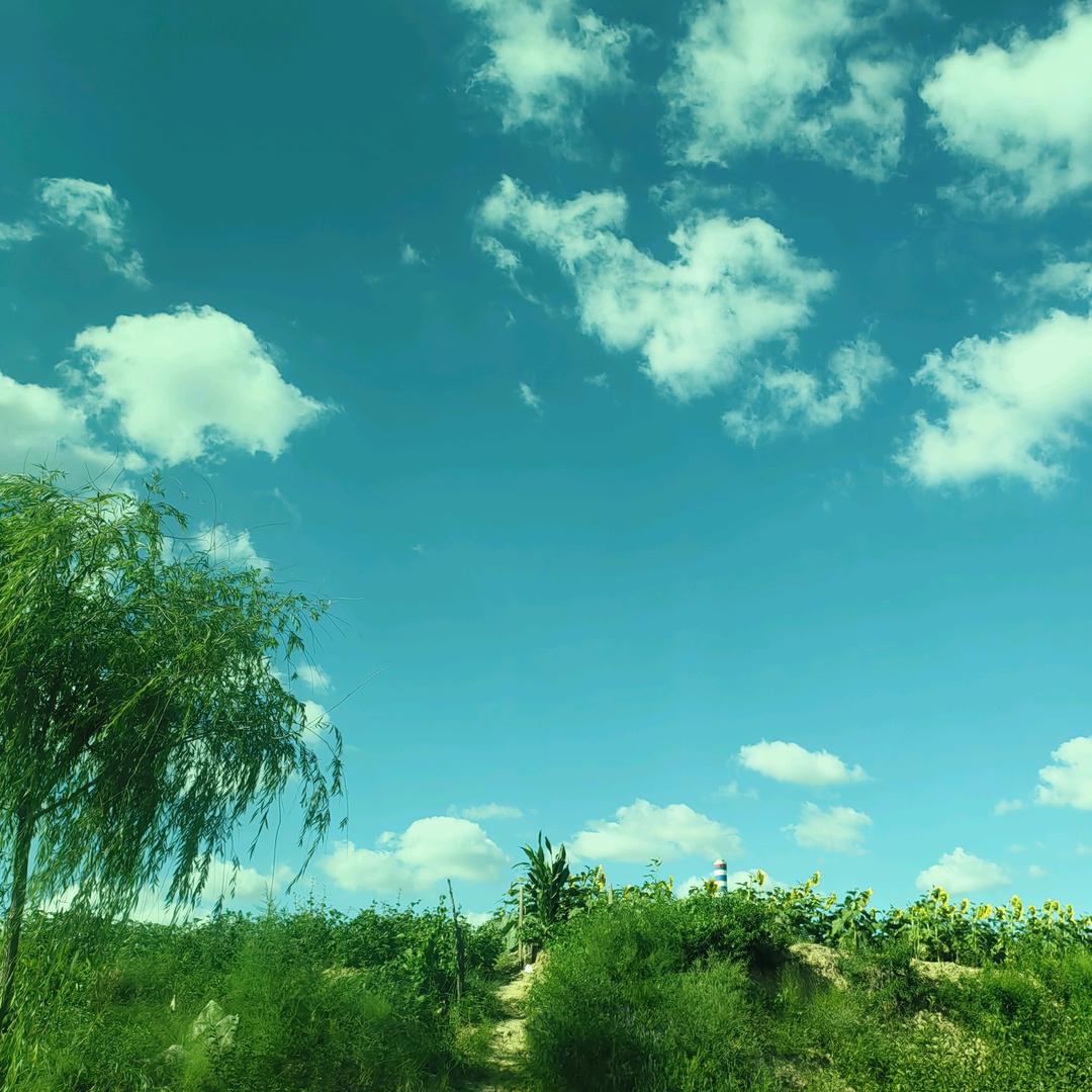 一纸淋漓漫点方圆透