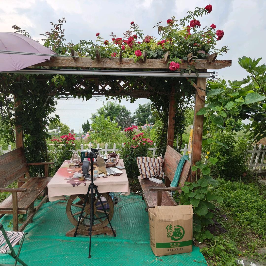 小酥酥