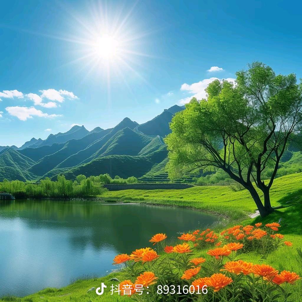 不在单纯