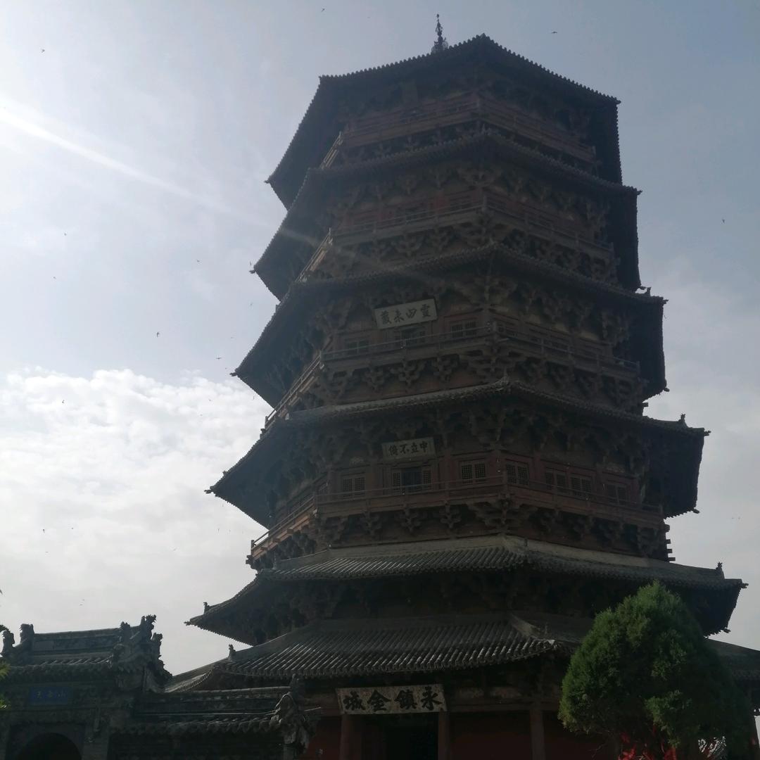 星仔呵呵