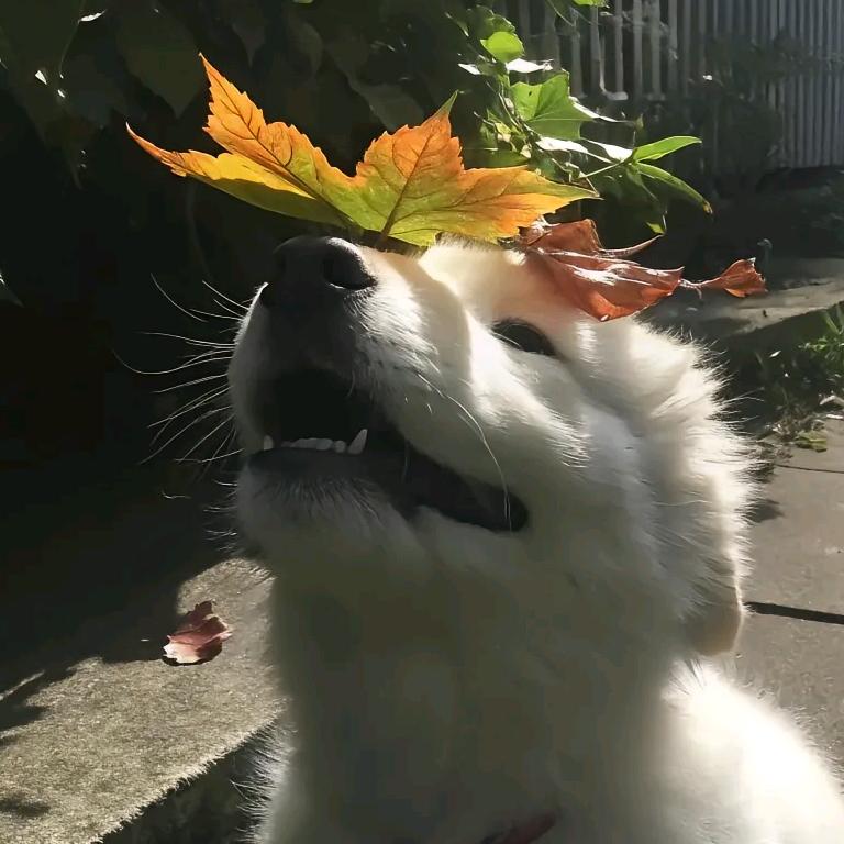 郁南县心必百货商行