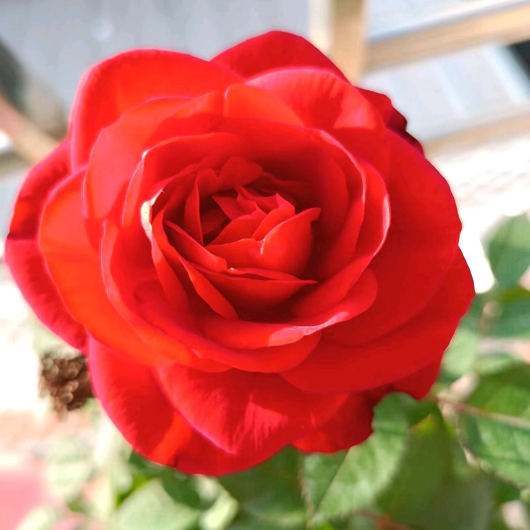 ɞৣ᭄樂在其中໊ഒᩚ࿐