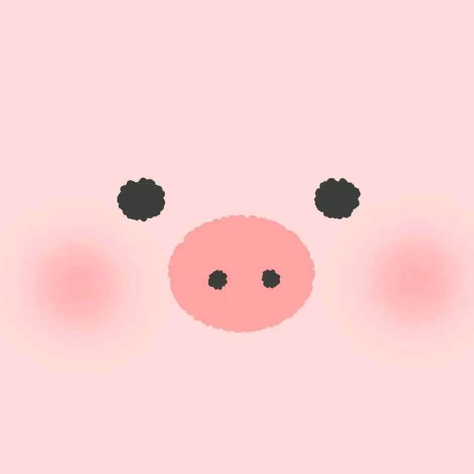 佳宝，佳宝☀☀