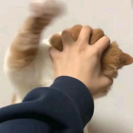 是什么乐