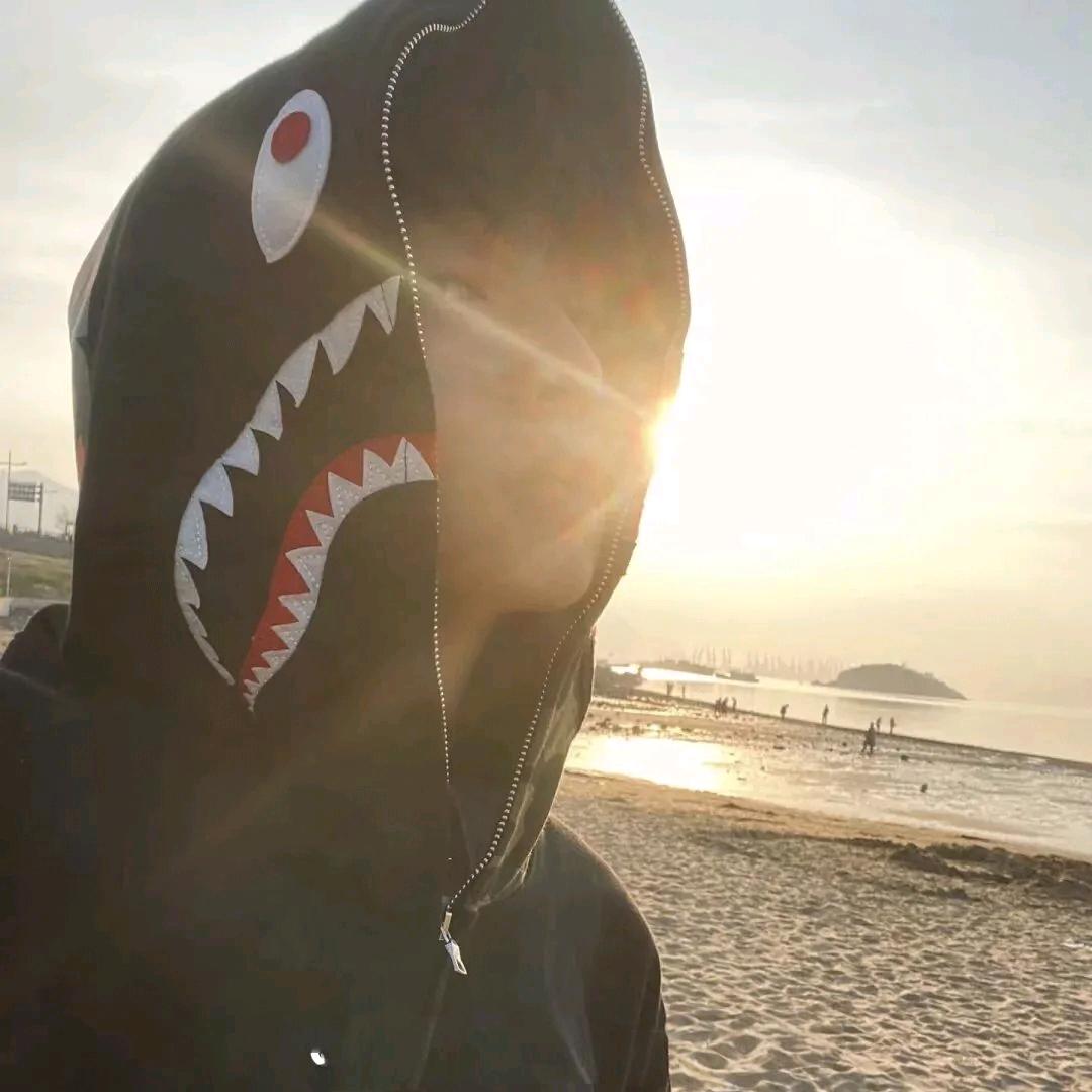 我想养一只小狗