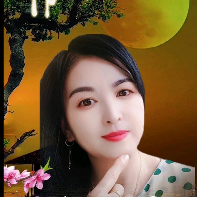 一条金鱼