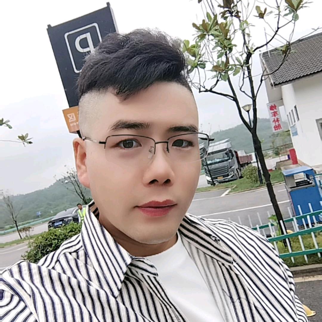 贵州黑曼巴智能车库门