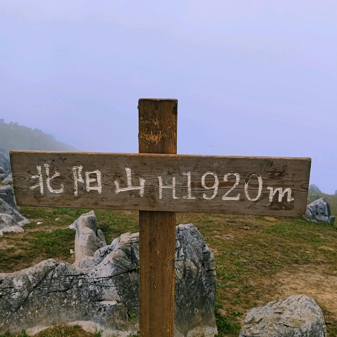 娃哈哈