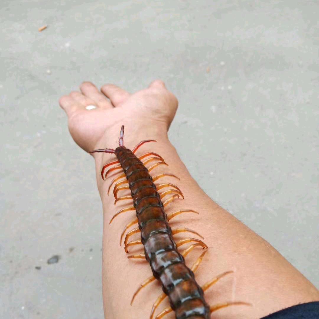 但行好事，莫问前程