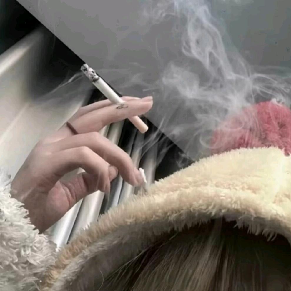 养只小猫狗叫失约_