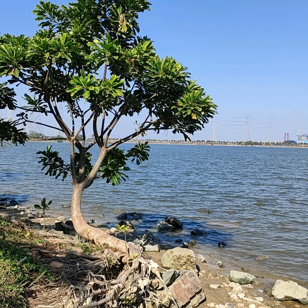 一本正经的胡说八道