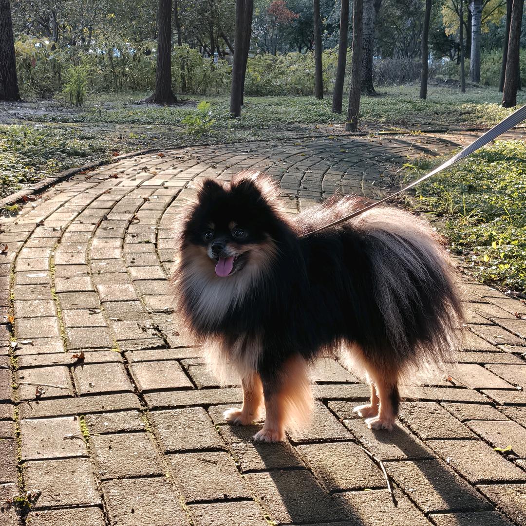 仔仔在这里