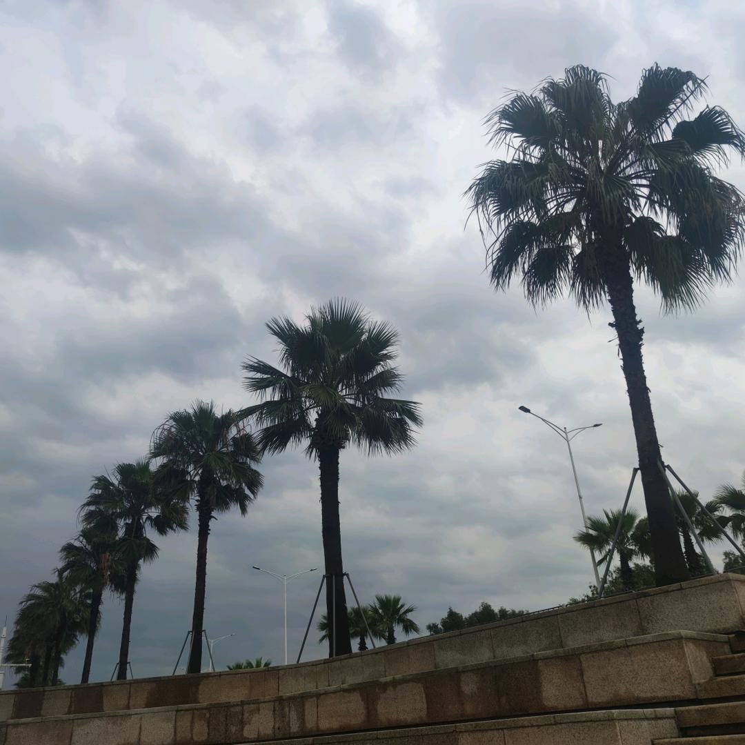 栖霞霓裳