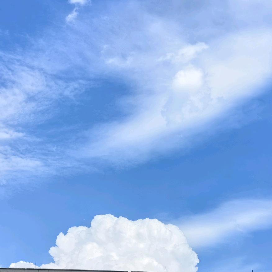 知物明理