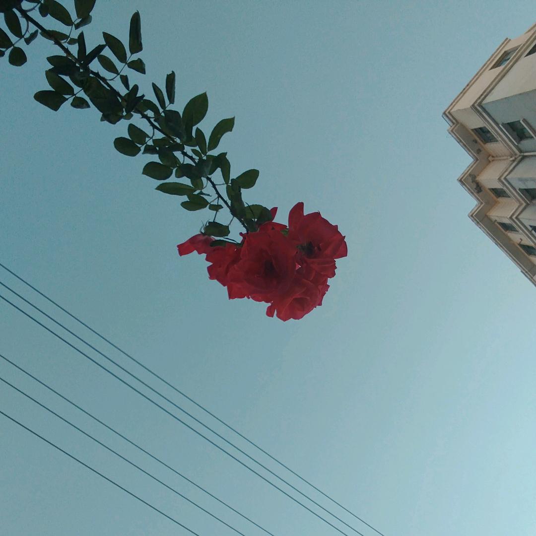 请叫我娜娜公主