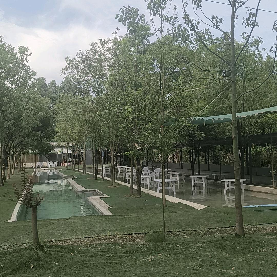 都江堰田园日记