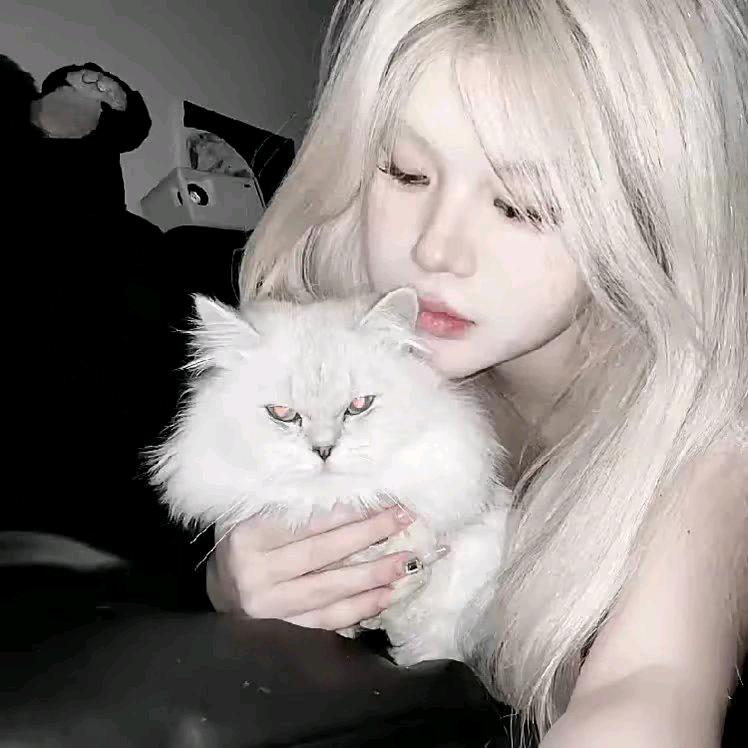 如果懂我的忧郁