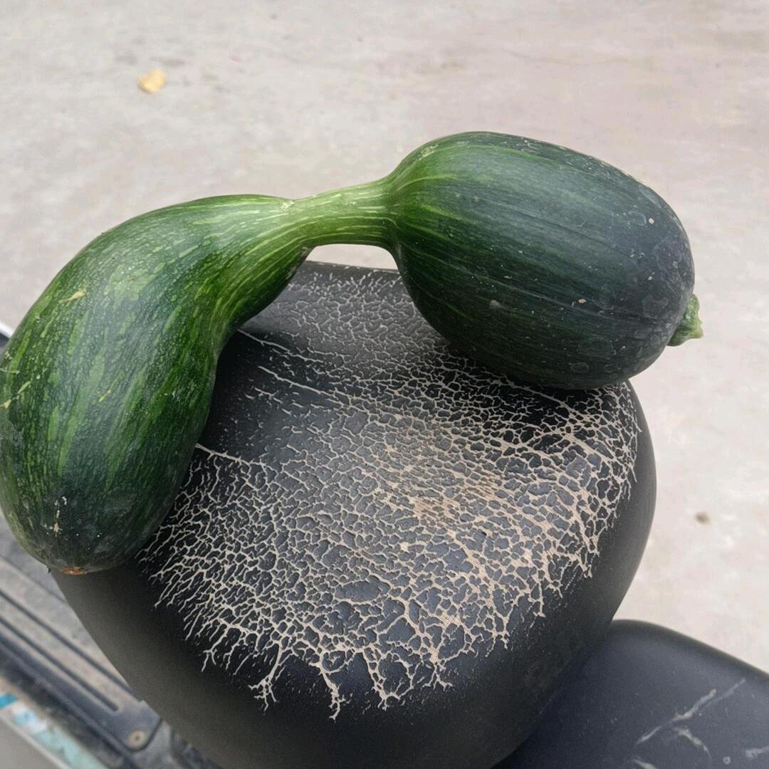 芳草