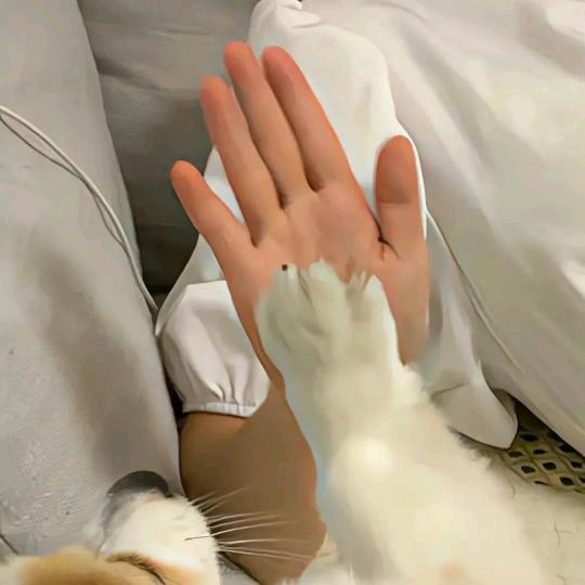 小记