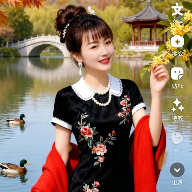 知音姐