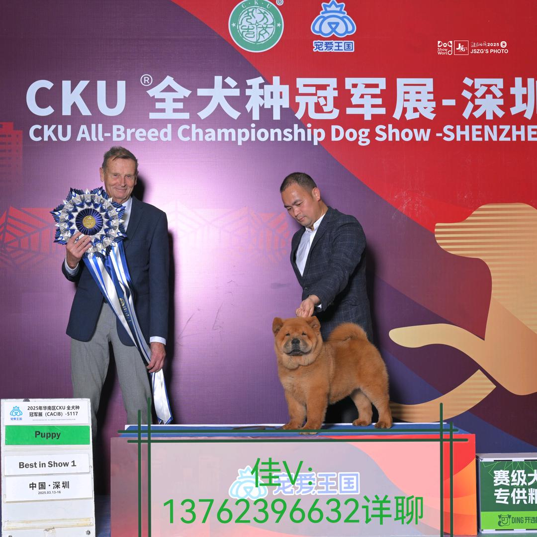 百园嘴农业五黑五红松狮种公繁殖基地